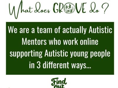 GROVE: Online Community & Mentoring for Autistic Young People