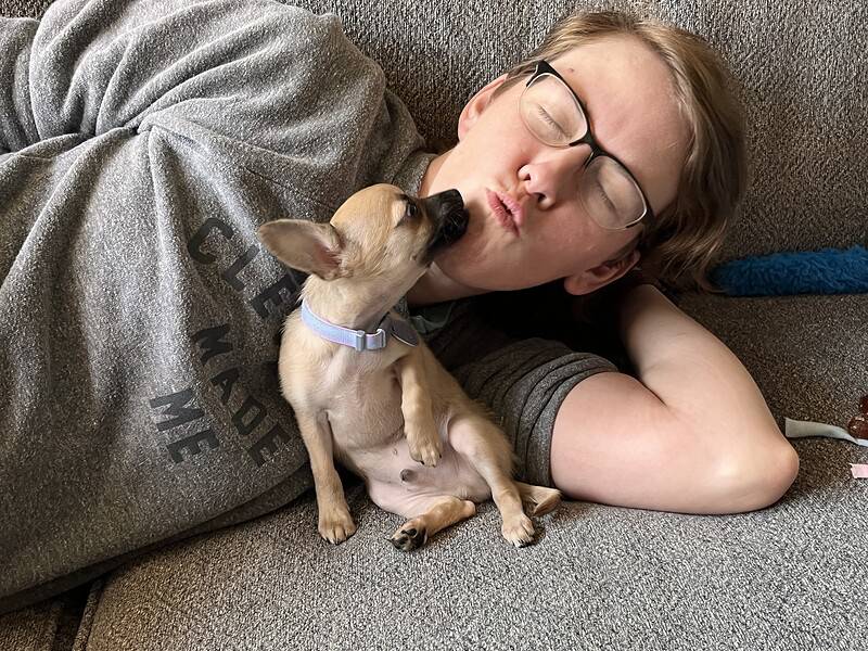 Jennifer Davies, AMFT, APCC - Neurodivergent, Queer, goblin therapist